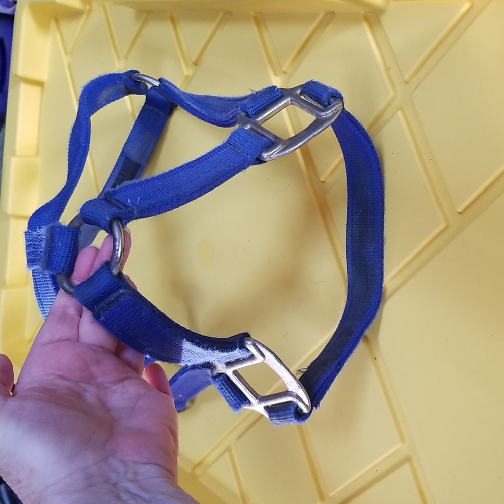 🐴ADJUSTABLE HORSE HALTER - Picture 6 of 8